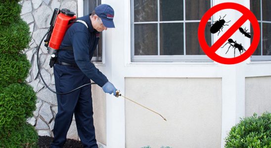 Çukurova Dezenfeksiyon böcek ilaçlama ve haşere kontrolü — ilaclama-tr.com